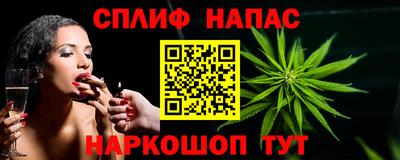 мет Кингисепп