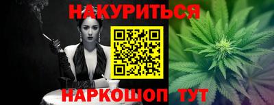 мет Кингисепп