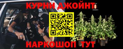 прущие грибы Кимры