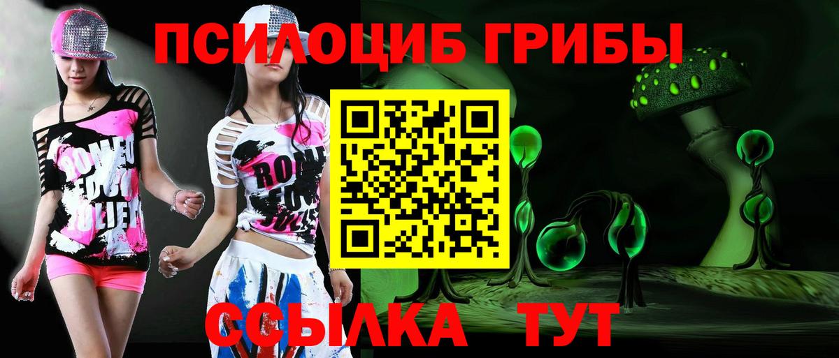 купить  цена  Галлюциногенные грибы Magic Shrooms  Вход с VPN  Чайковский  Галлюциногенные грибы мицелий 